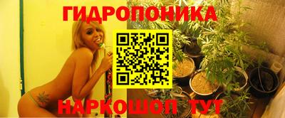 шишки Бугуруслан