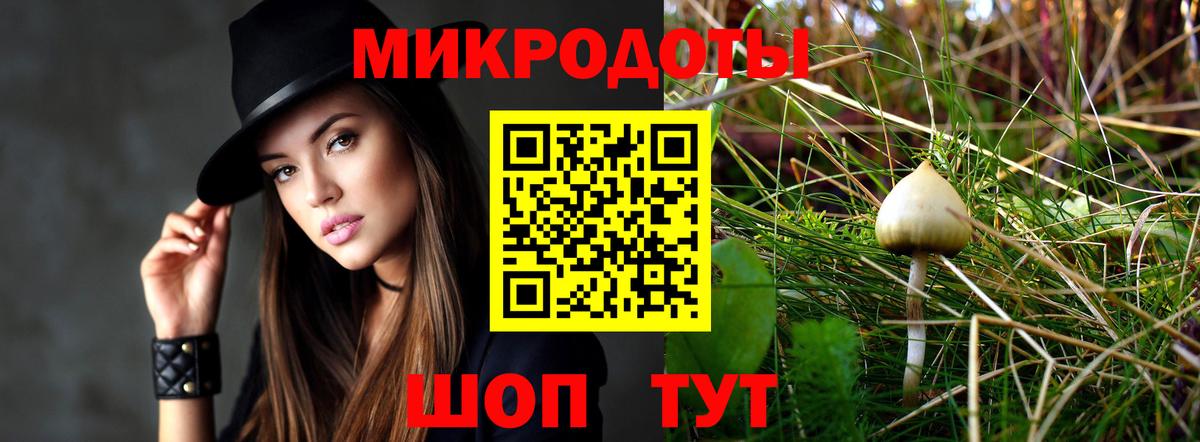 Самара  Галлюциногенные грибы MAGIC MUSHROOMS  где купить   Галлюциногенные грибы мухоморы  Вход с VPN 